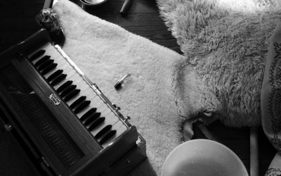 My Harmonium and Me