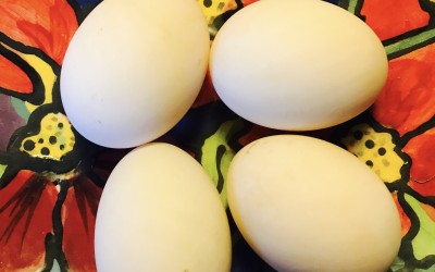 Farmer’s Market Duck-Egg Drop Soup